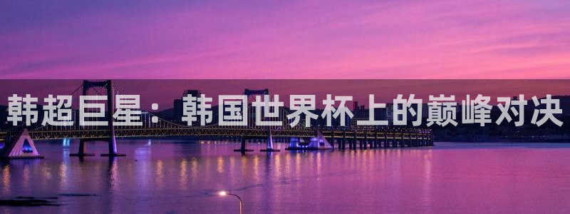 世界杯亚洲区预选赛:韩超巨星:韩国世界杯上的巅峰对决