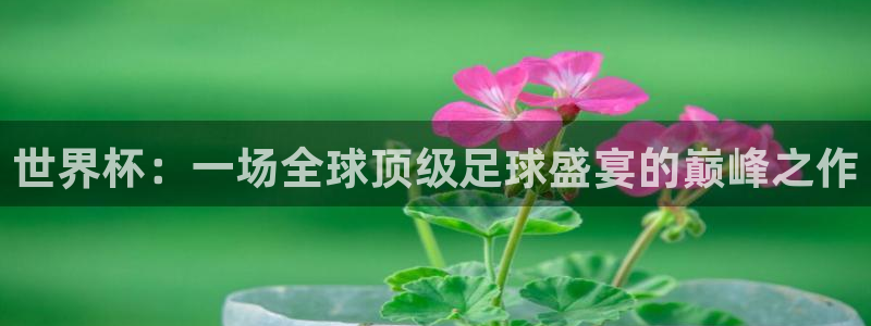 世界杯官网入口:世界杯:一场全球顶级足球盛宴的巅峰之作