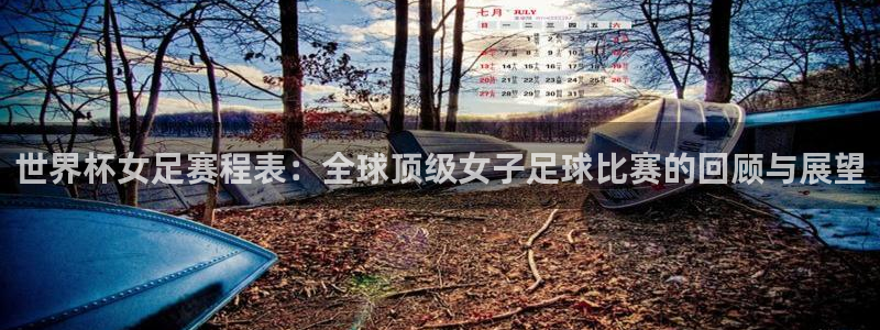 世界杯视频:世界杯女足赛程表:全球顶级女子足球比赛的回顾与展望
