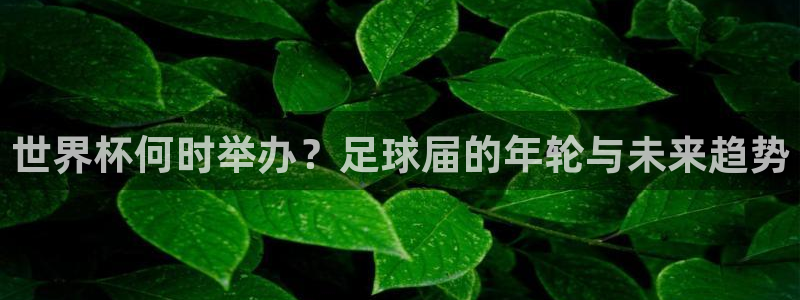 世界杯直播网站:世界杯何时举办?足球届的年轮与未来趋势