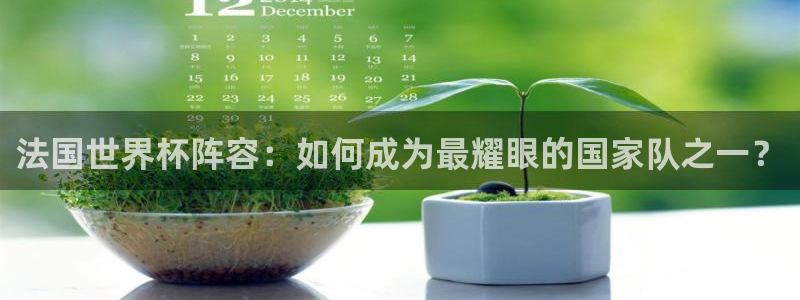 2026年男足世界杯:法国世界杯阵容:如何成为最耀眼的国家队之一?