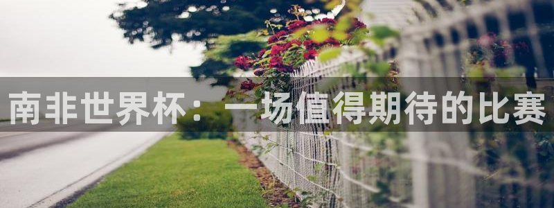 2026男足世界杯赛程:南非世界杯:一场值得期待的比赛