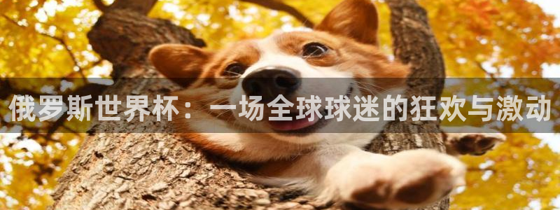 世界杯赛程表2026:俄罗斯世界杯:一场全球球迷的狂欢与激动