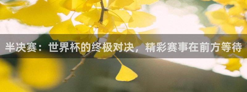 2026世界杯赛程时间表最新:半决赛:世界杯的终极对决,精彩赛事在前方等待